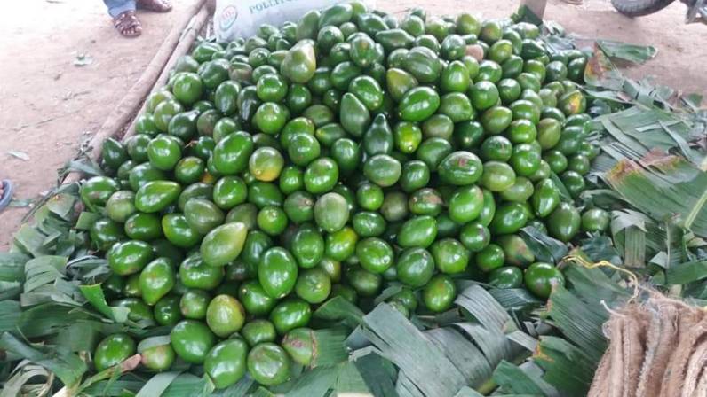 isabellmorgo tweet media