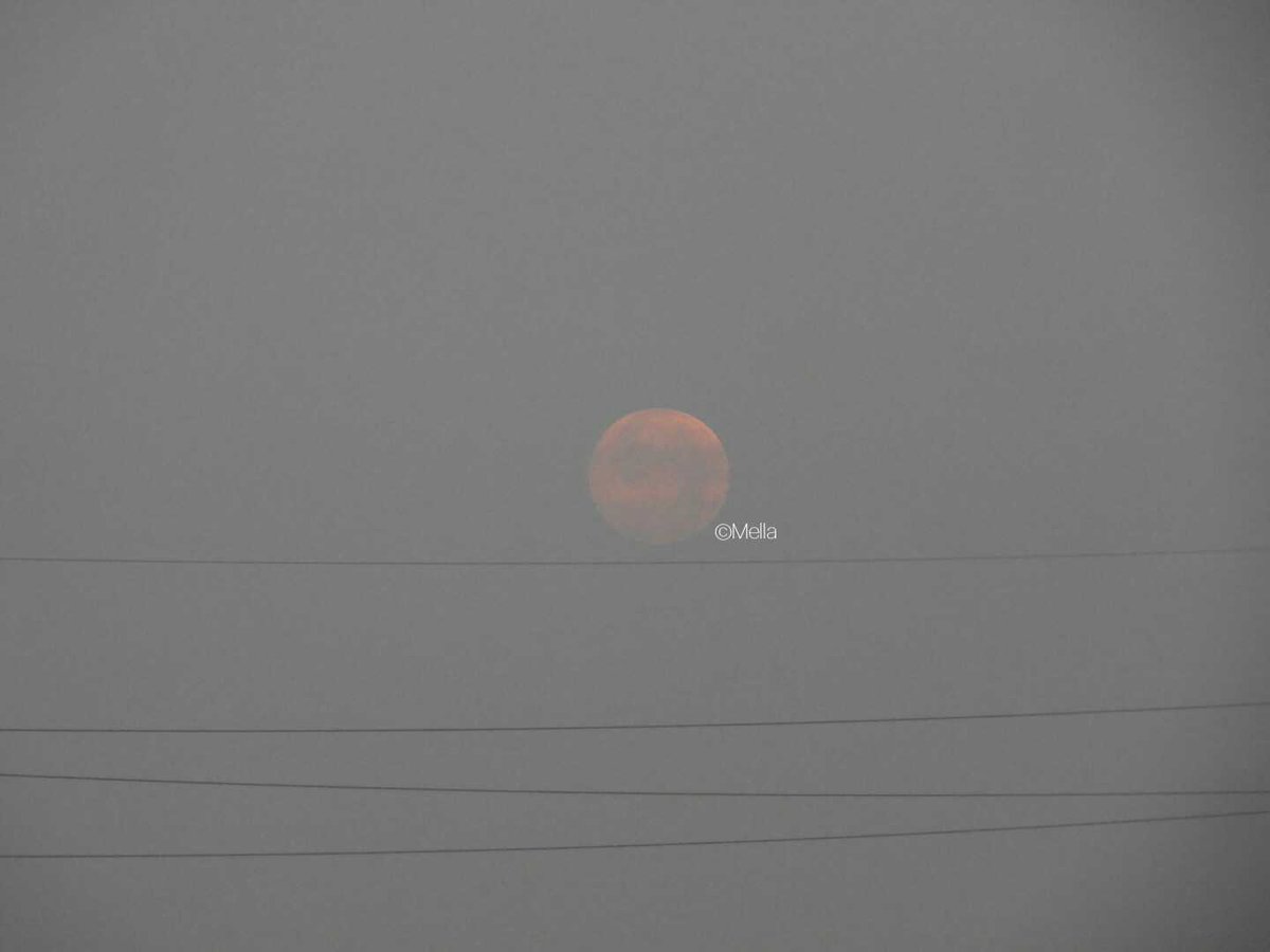 Pink Moon; April 8, 2020
Sorry for the cable wires.
©Mella