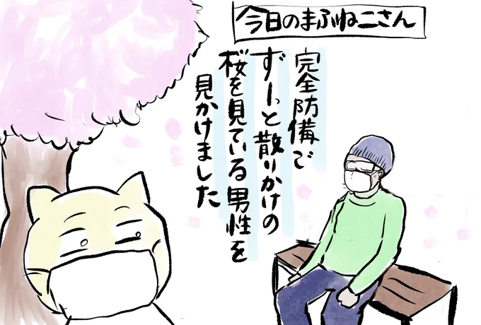 今日のまふねこさん 4月8日 