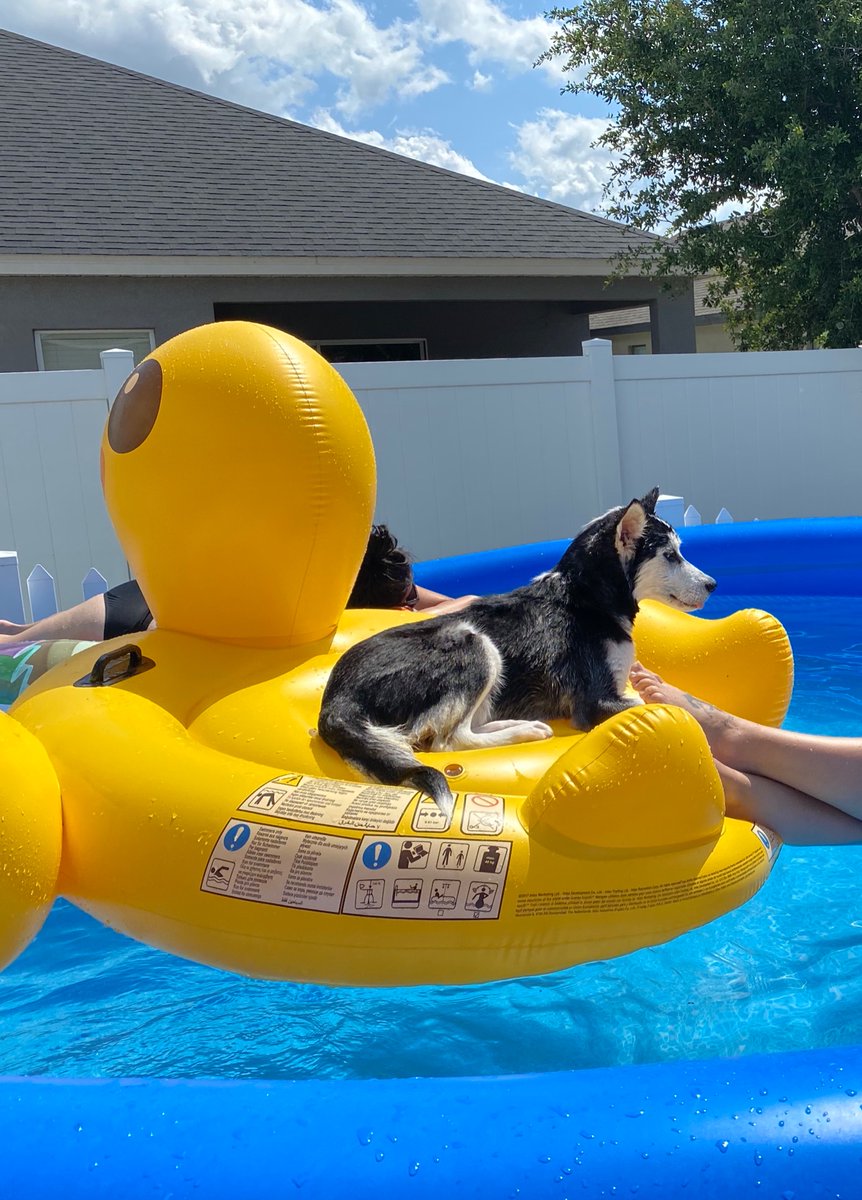 SuperMomHeroics's tweet photo. Another Quarantine pool day 🥰♥️ https://t.co/7hele3WxbM