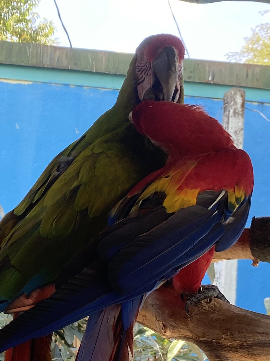 descartezrev1's tweet photo. Tu y yo en una cuarentena... marimba de chavalos tendríamos  🤣😂 https://t.co/vcDH6kmTlB