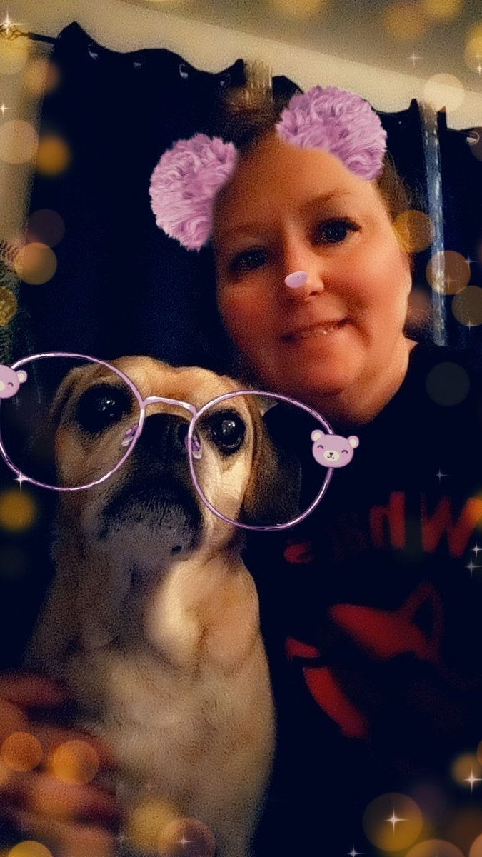 MsWeber16's tweet photo. @OxfordStES Here are my babies!! Duke loves having me home, but is annoyed that we're not outside walking every minute. KitKat is about ready to throw us out and has to be reminded she chose to live with us! #petsunderlockdown #webersworld https://t.co/5yksdfMPAn
