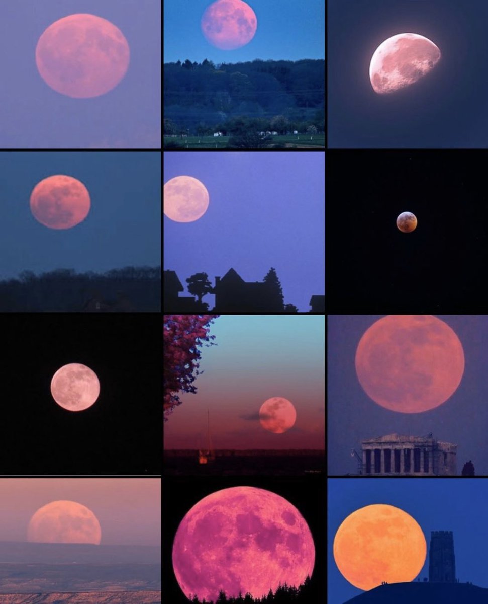 daphalex_'s tweet photo. super pink moon https://t.co/O1023Uzhcy