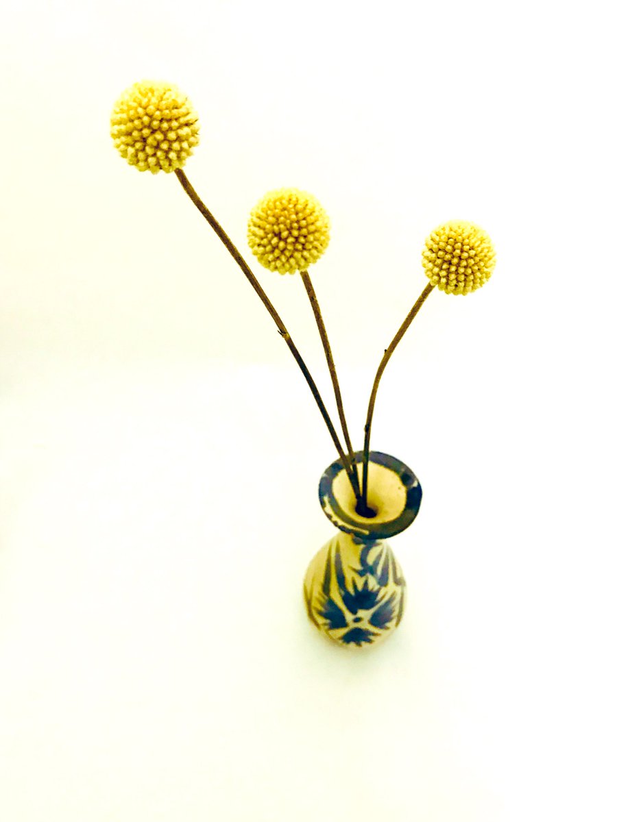 「今日のいけばな。ゴールデンスティックを19世紀の琉球壺屋焼瓶子に。欠損部分は、金」|ナカムラクニオ Kunio Nakamuraのイラスト