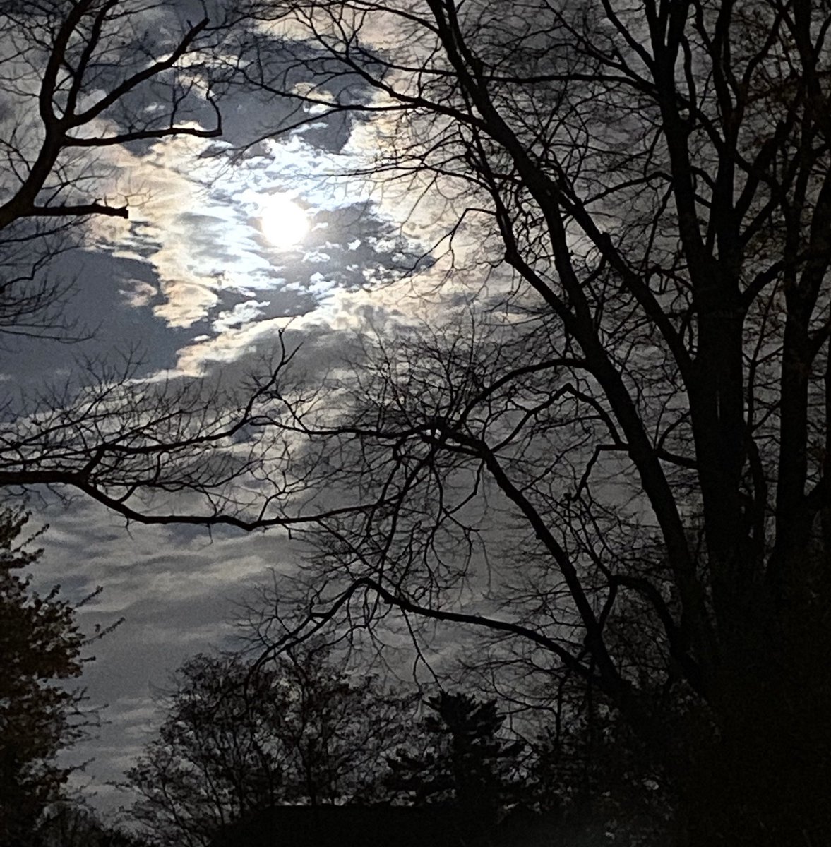 The night sky #nofilter #eveningwalk