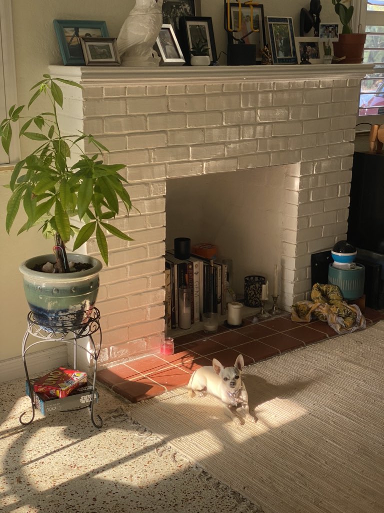 ericajanehoff's tweet image. 💚