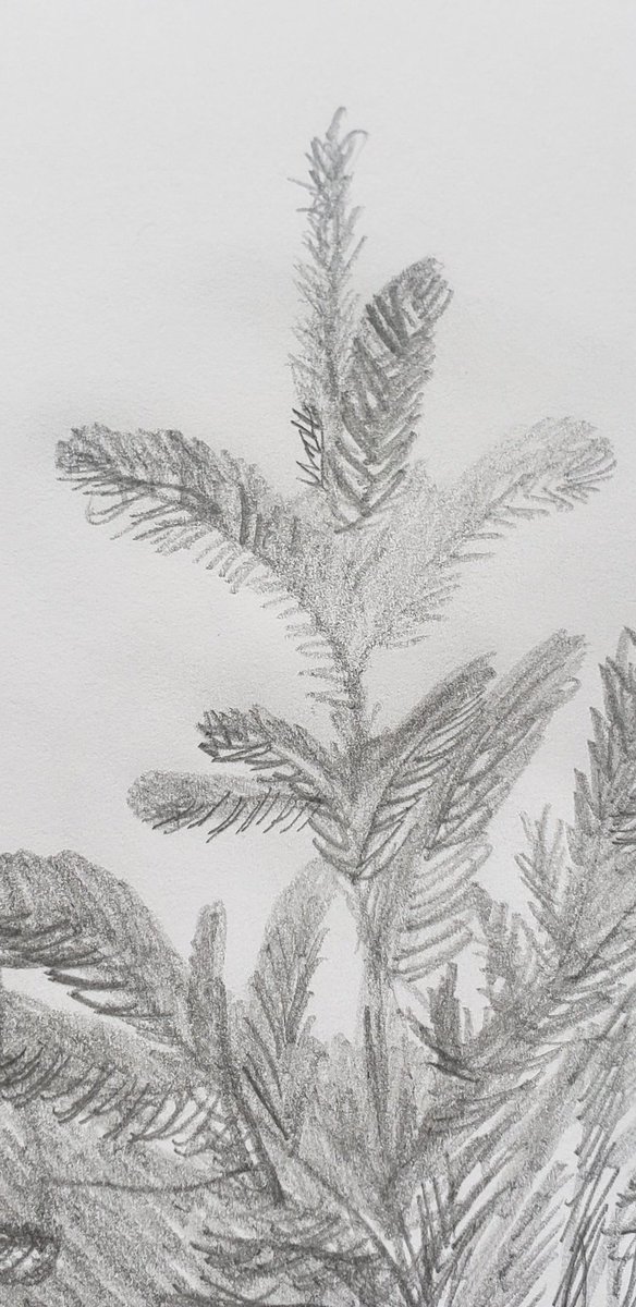 XBiffert's tweet photo. Practicing some #simple #line #sketching on this beautiful, snowy, spring evening! @yycCCOM @calgaryzoo @calgarystampede #mindfullness #sittingstill #lookingcloser #noticingmore #naturesimperfections https://t.co/2wToNp1SlL