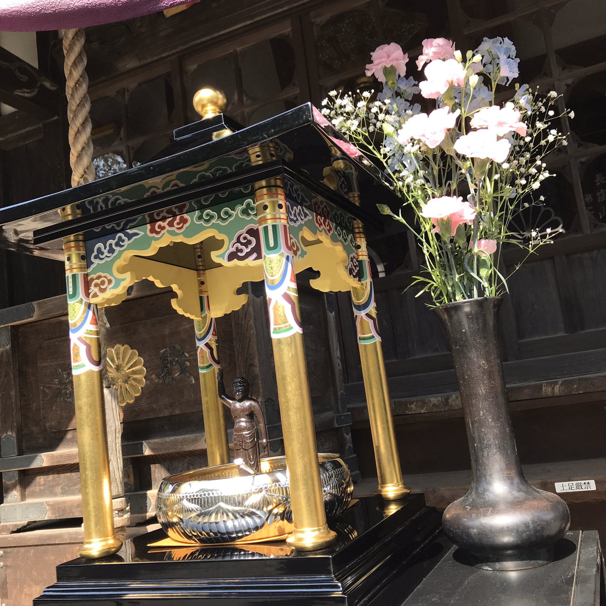 Birthdayofbuddha Twitter Search Twitter