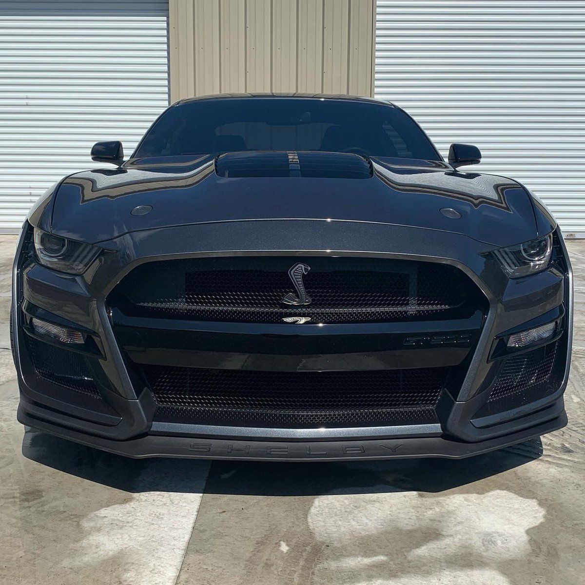 rayzesst's tweet photo. 2020 Shelby GT500 with only 12 miles!!! First one sold in this area! Straight from dealer to Rayze SST for tint! #shelby #gt500 #supersnakegt500 #5startuning #rayzesst #shoplocal #supportsmallbusiness #weloveourcustomers  @RayzeSST https://t.co/ByRPiheUJl