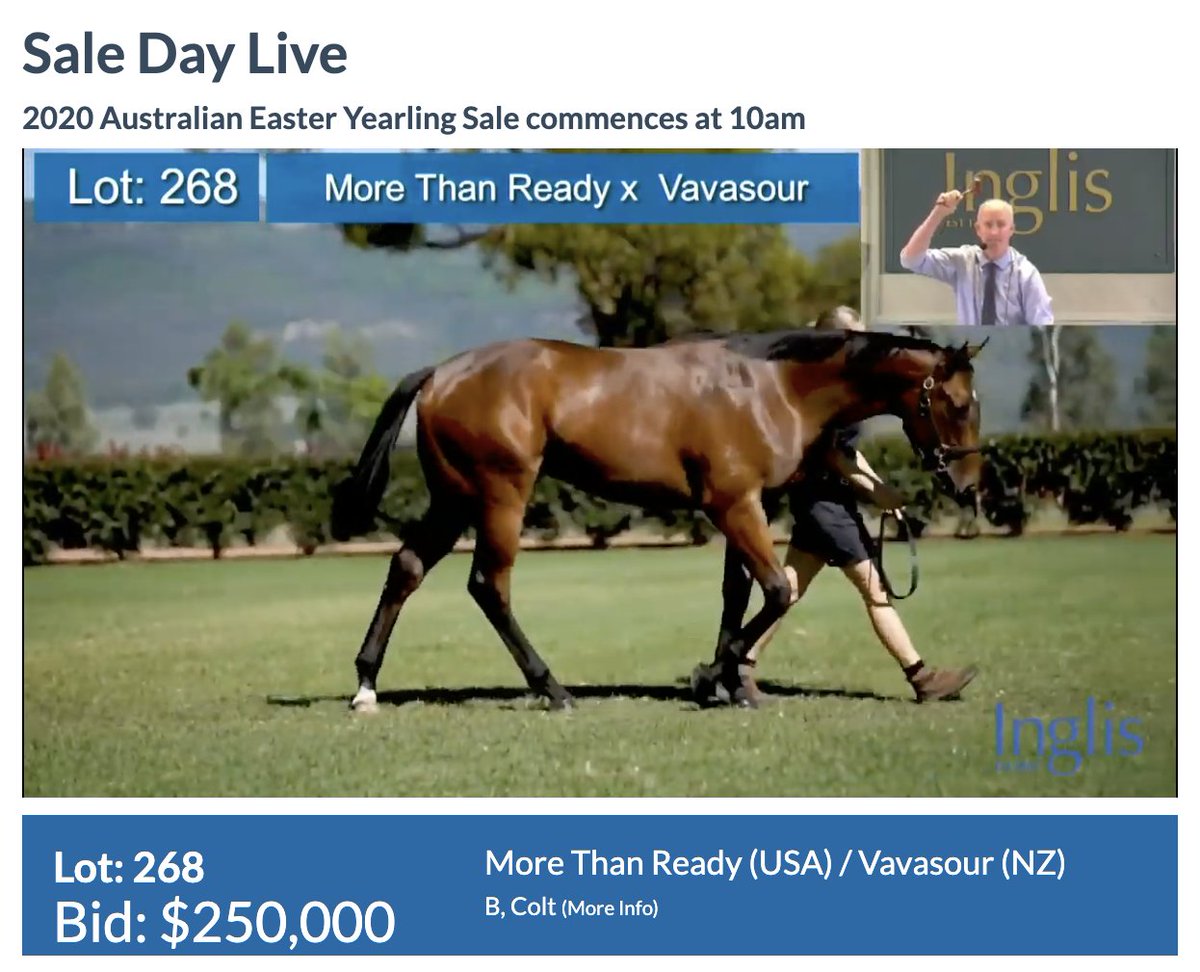 SledmereStud's tweet image. Lot 268 of our @inglis_sales Easter draft provides @SledmereStud with another top start to a second day of online trading. The quality son of evergreen @VineryStud stallion More Than Ready was sold to J Wheeler (VIC) for $250,000. That's three offered, three sold! #InglisEaster