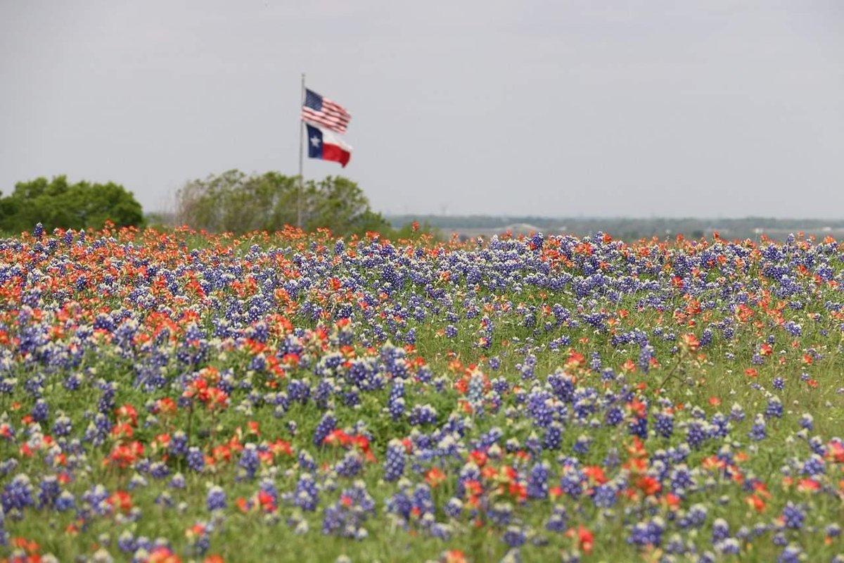God was spotted in Texas today.

When asked what He was doing He smiled and replied-

" I am working from home."