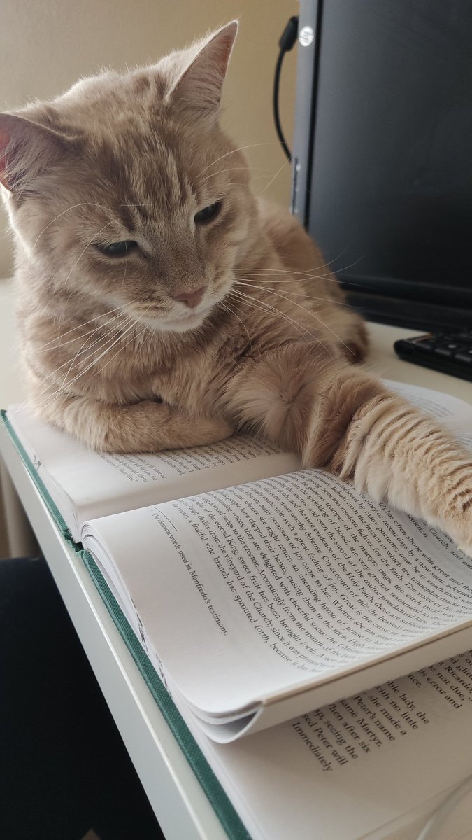rubenstein_lexi's tweet photo. I swear if she doesn't start contributing I'm not crediting her in my thesis https://t.co/u6RzsxJkxQ