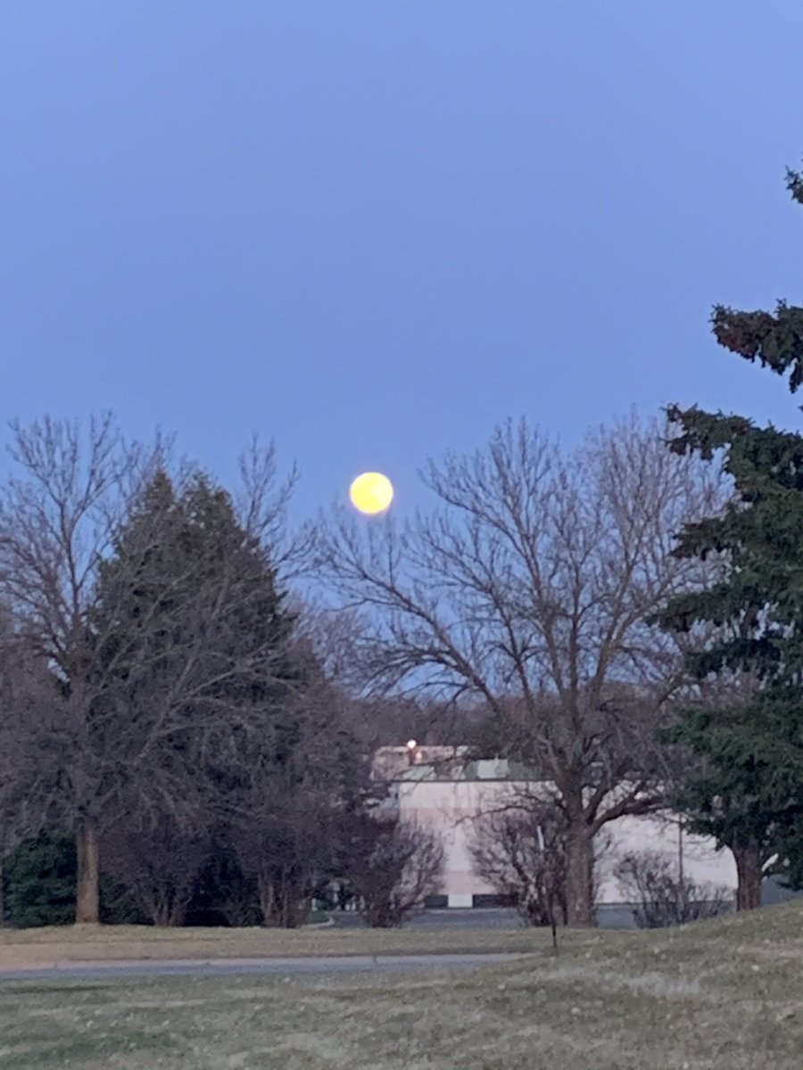 Perry101010's tweet photo. @fox9weather west Bloomington #PinkSupermoon @FOX9 @ian_leonard https://t.co/O6dPbYHcbc