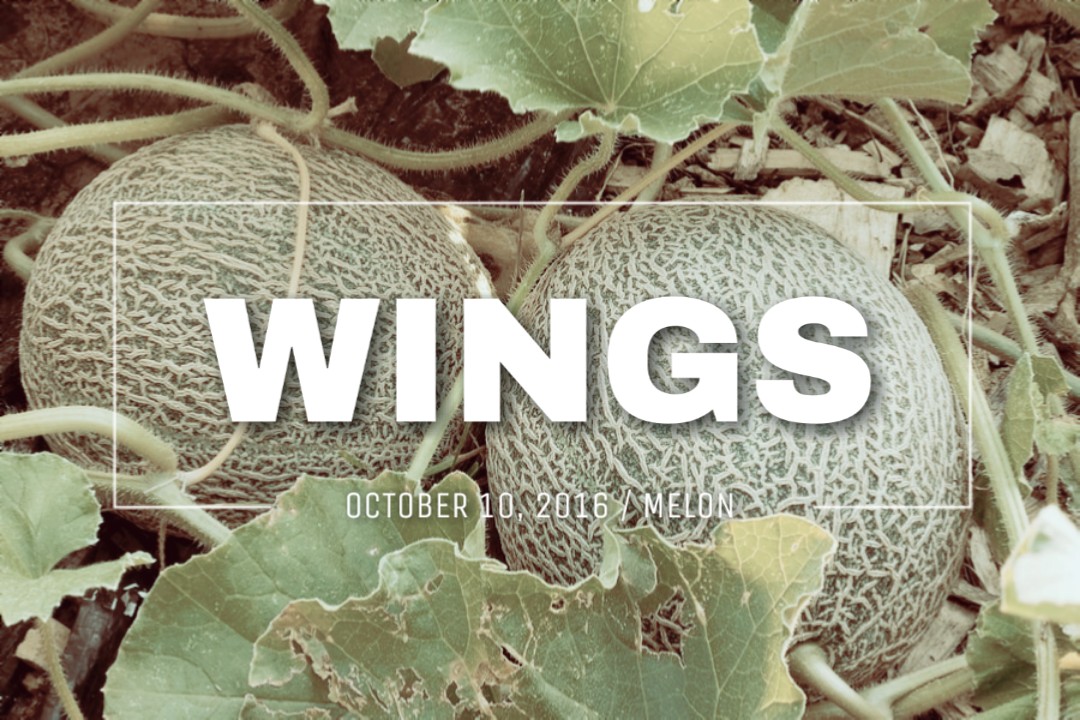  @BTS_twt albums and their birth flower [thread]