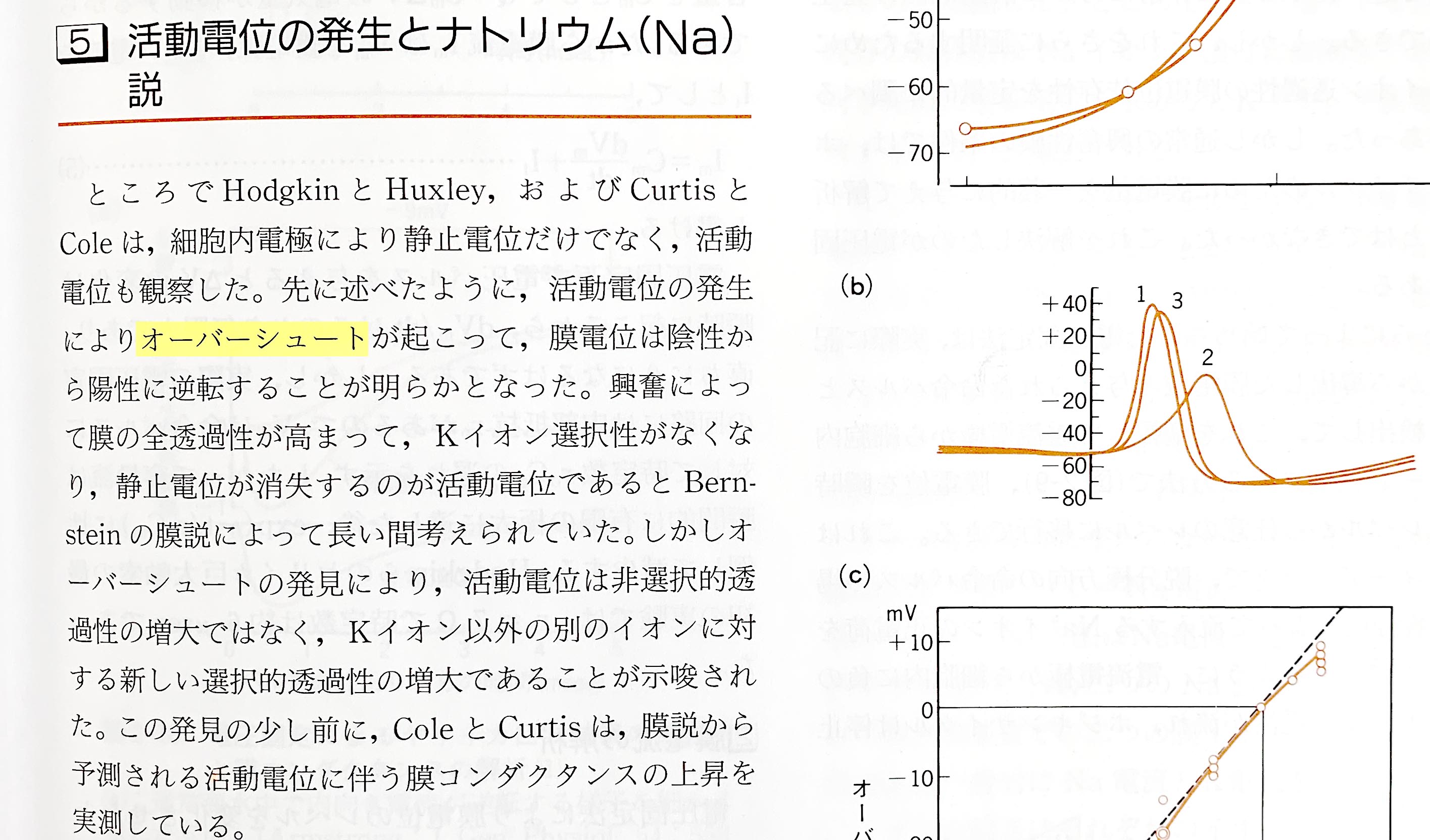 杉本 幸太郎 オーバーシュートという和製英語 の語源は生理学の活動電位にまつわる誤訳ではないか 膜電位が閾値に達すると急激に上昇することを英語でshoot というが なぜか日本語の教科書だとカタカナでオーバーシュートと書かれている そして活動電位の