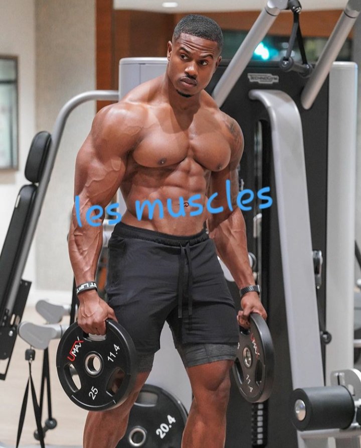 Mamadou96223680's tweet image. Bomboclaat