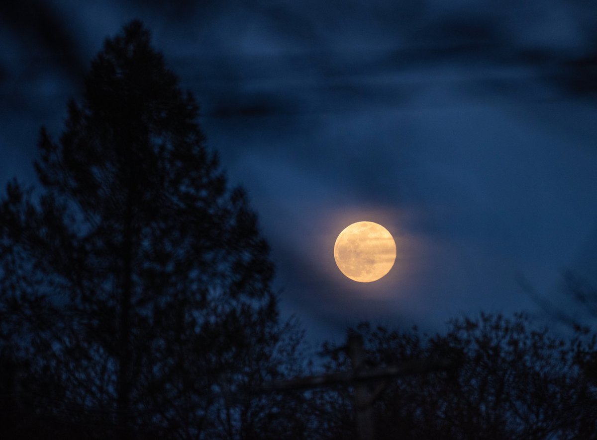 #PinkSupermoon from outside of Boston