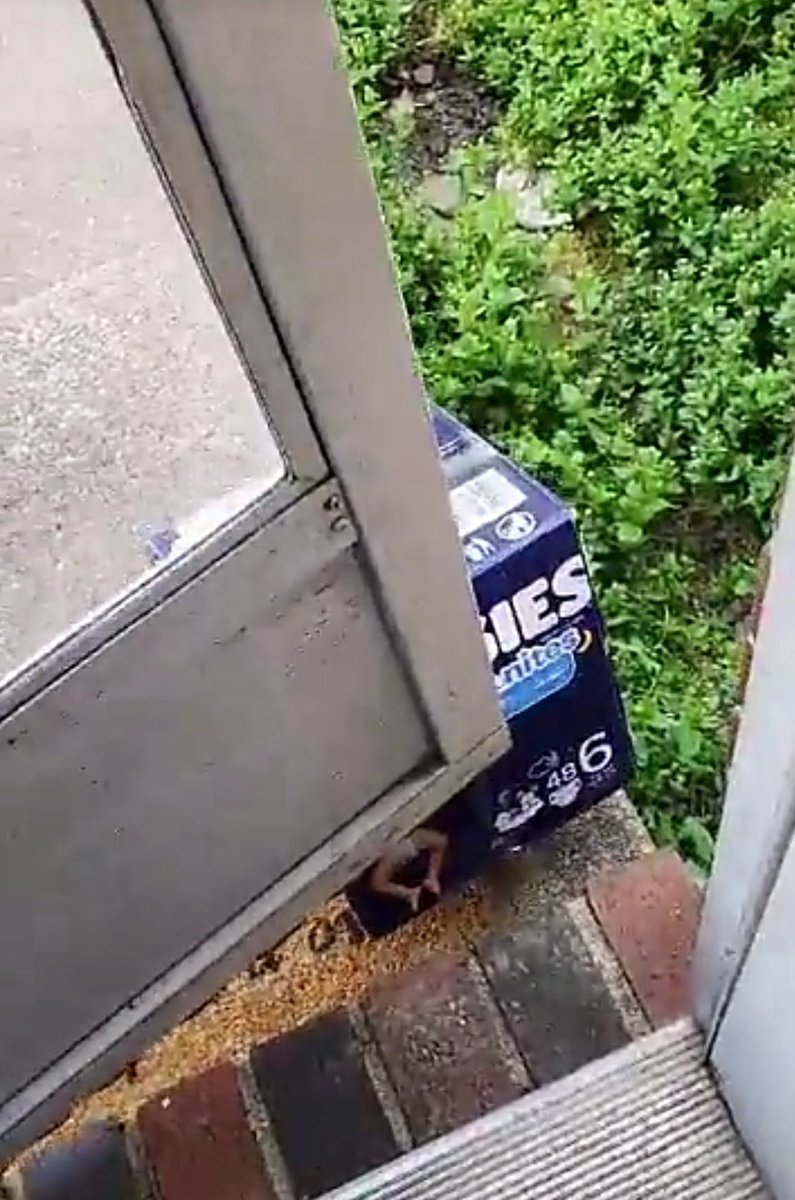 throwingbryks's tweet photo. @USPS @FedEx @UPS @amazon I painted you all a pretty box with a BIG ASS SIGN to leave my packages. Stop. Barricading. My. Fucking. Door!!!!! https://t.co/oNtLXuvCbx