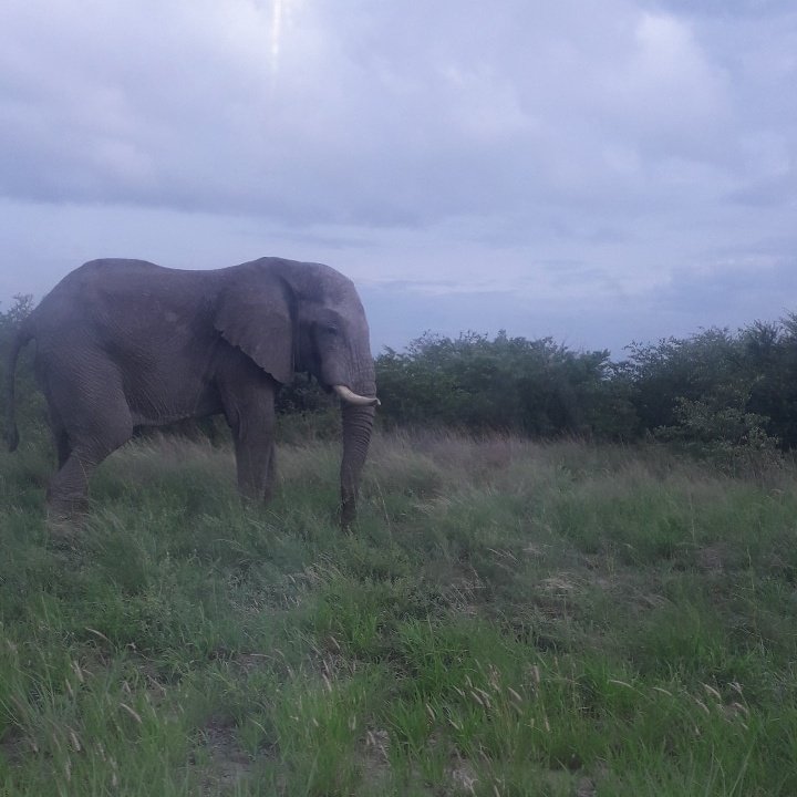 Marshellmotha18's tweet image. #NewProfilePic