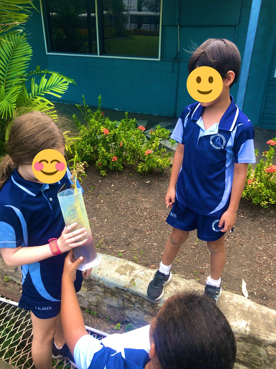 LEThomas_ECE's tweet photo. How is water transported in plants? What environmental factors influence how fast water is transported in plants? That is what my Ss answered during this science investigation! #ThomasTribe #TeachingInternationally https://t.co/Kwl8SbAEGE