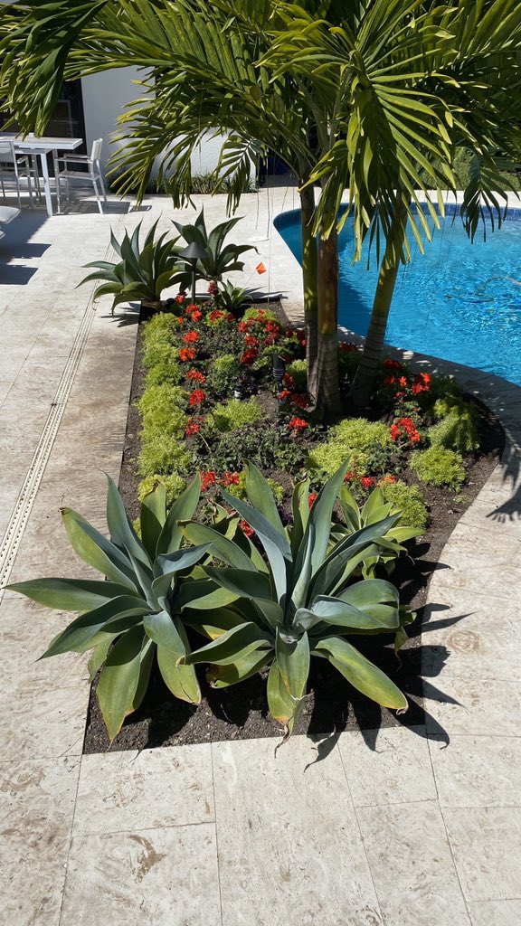 Day by day bettering our landscaping professional jobs and the another services that we’re offering. Where design that you can imagine or wherever you need we can do it. Call us and let us know. We do sales by phone or video calls and delivery and installation of where you want.