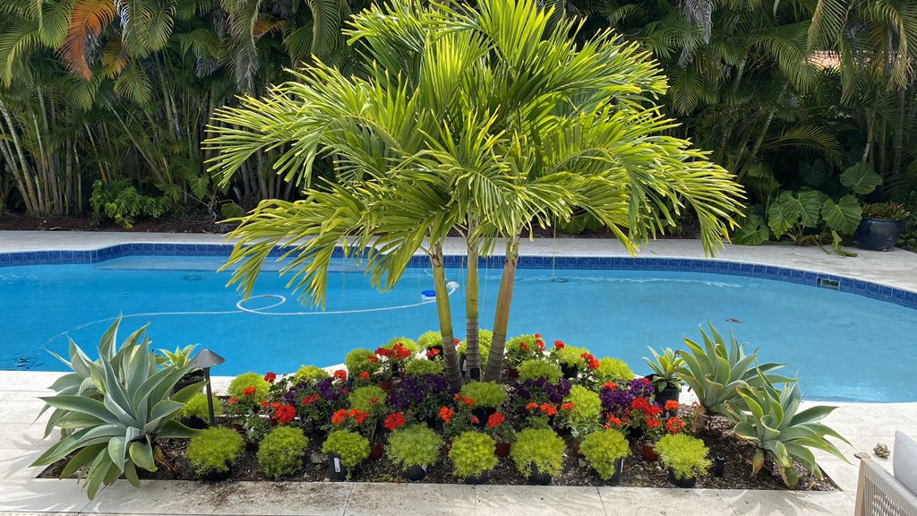 RUPERT MULTISERVICE tweet media