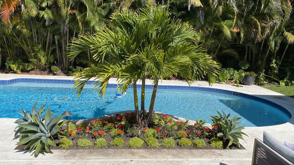 RUPERT MULTISERVICE tweet media