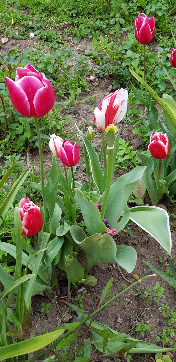 <a href="/sophie_woolley/">sophie woolley</a> <a href="/phoenix829/">Mary</a> <a href="/TeresaBGordon/">Teresa</a> <a href="/Yellow__Jane/">♫ YJ ♫</a> @BendahanL <a href="/ginesa1/">Ginesa</a> @DaSilvaRM1