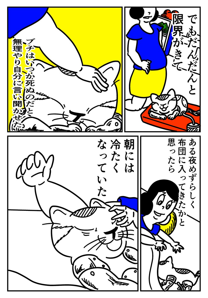 猫の人(1/3)
 #漫画が読めるハッシュタグ 