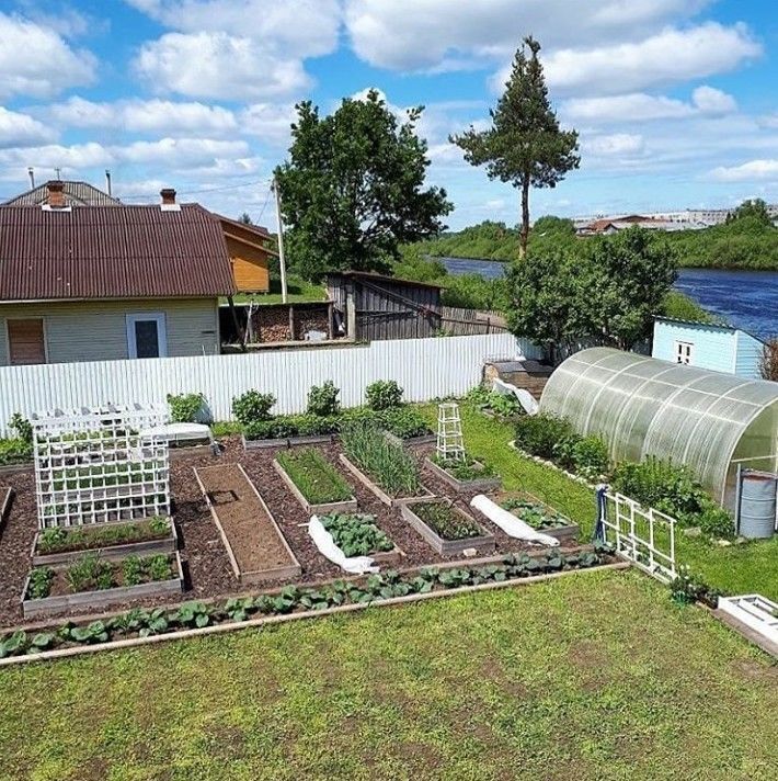 gorodunet's tweet image. Дача перфекциониста

#аккуратныйогород #порядокнадаче