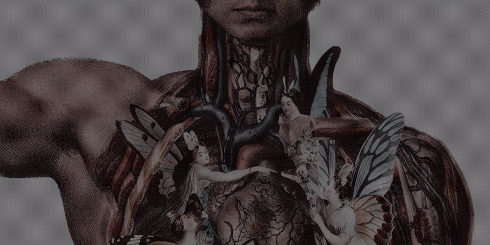 forensicsurgeon's tweet photo. โ โโ๐๐ป๐ธ ๐ป๐ผ๐๐๐๐
๐ ๐ต๐๐๐พ๐ ๐น๐๐
๐บ๐๐ ๐ด๐ต๐๐๐ ๐๐ใโ
โโโโโโ ใ โโโโโโ
โฐโโธ โต ๐บ๐ธ๐๐
๐บ๐ธ ๐๐ผ๐ฟ๐๐๐ใ
โฐโโธ โต ๐ฬถ๐ผฬถ๐
ฬถ๐ดฬถ๐ฬถ๐ธฬถ เซฐ ๐บ๐ผ๐น๐ฎ๐ฌ๐ถ๐ตใ
โ ๏ผ#RFSquad.
โ ๏ผสส #แดแดษชษดแดแดแด
sแดสสแดแดก.
โฐโโธ โต โด โป๏น โก โต https://t.co/npPrklF53c