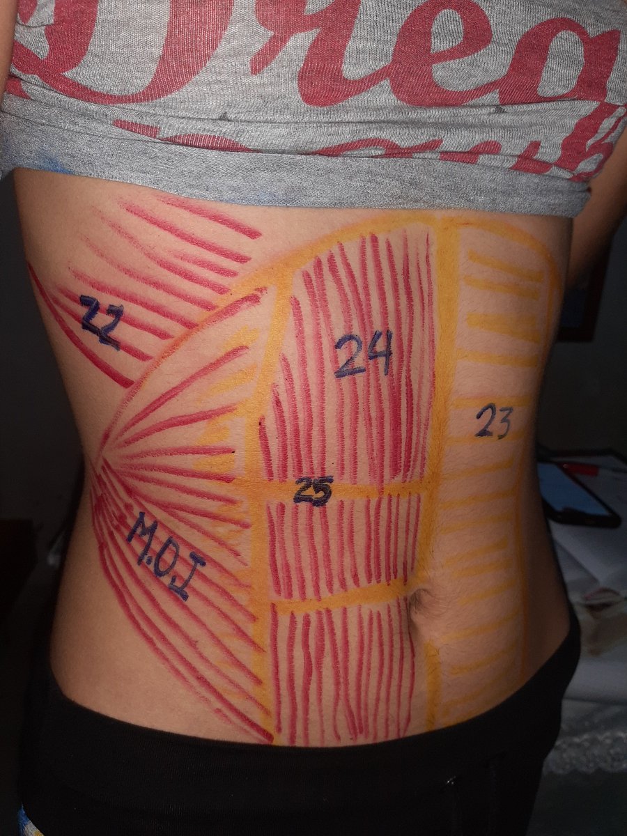 BrausinDixie's tweet photo. #YoMeQuedoEnCasa estudiando anatomía del tronco con anatomía de superficie @Fisiolofar https://t.co/UskQW7RFZy