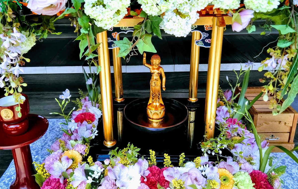 今年は甘茶を掛けてもらえず足湯を楽しむお釈迦様 吉祥寺 月窓寺 お釈迦様 にお線香はあげて来ました 合掌 04 08 神楽坂ねこの郵便局というなまえのお店