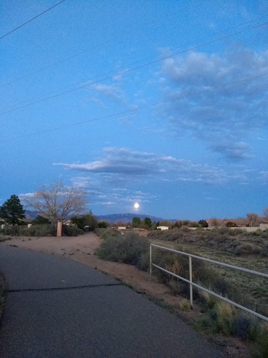 joshagentry's tweet image. Super moon. #pandemicdiary