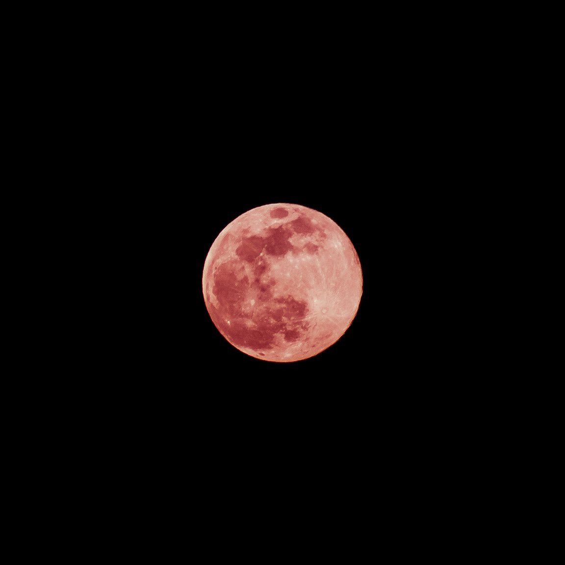 bts as the pink supermoon; a thread (or an excuse to bring up pink hair again) —