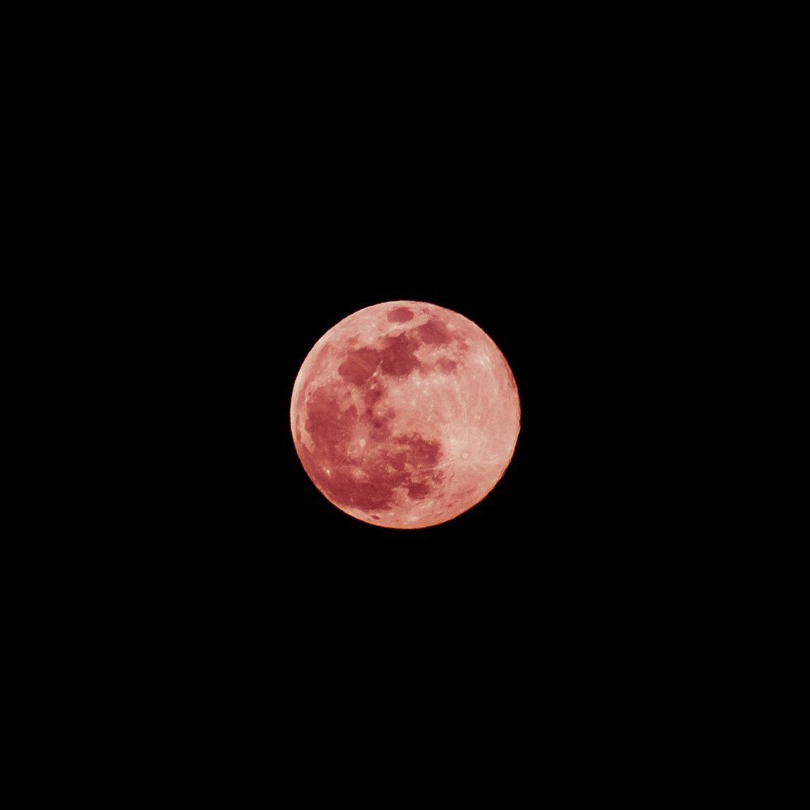 bts as the pink supermoon; a thread (or an excuse to bring up pink hair again) —