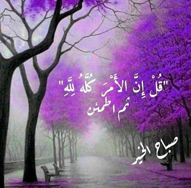 tayypeachy's tweet photo. #اللهم يا مسهّل الشّديد
ويا مليّن الحديد
ويا منجز الوعيد #يارب 
ويا من هو كلّ يومٍ في أمرٍ جديد
أخرجنا من حلق الضّيق الى أوسع الطّريق

#صباح_الخير https://t.co/ZmuPSWVwTR