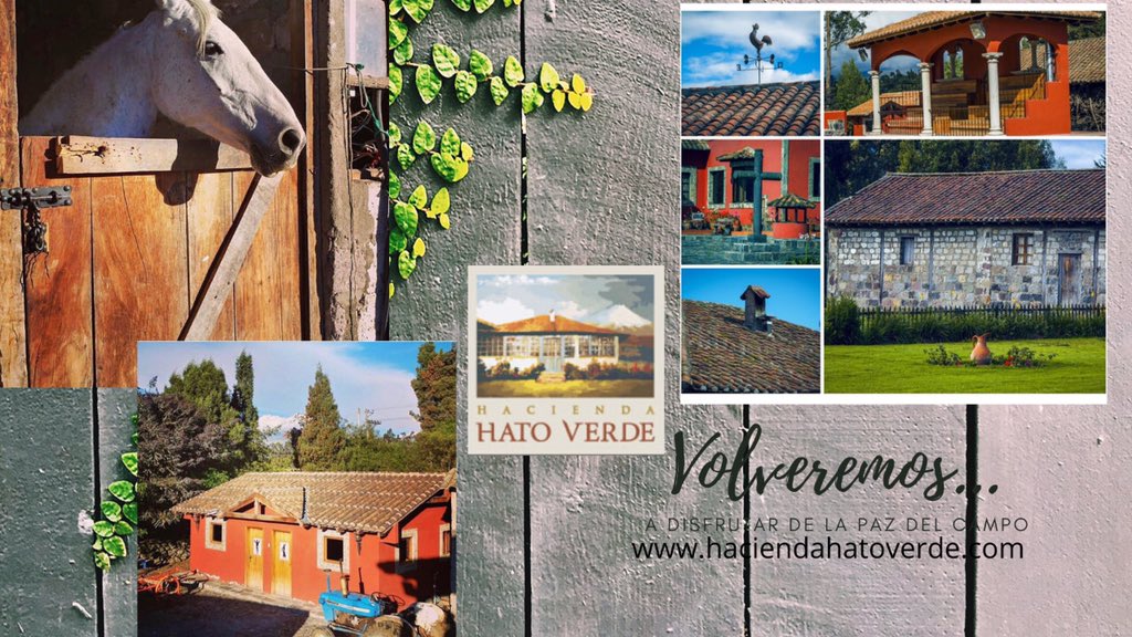 HatoVerdeFarm's tweet photo. Cuando esto pase.... visita el campo #hotelboutique #stateofheart #peacefull #thisisecuador #haciendahatoverde #turismoecuador
#ecuador
#happyholidays
#volcanoes
#Cotopaxivolcanoe
#Cotopaxi https://t.co/1sqrH6qQAP