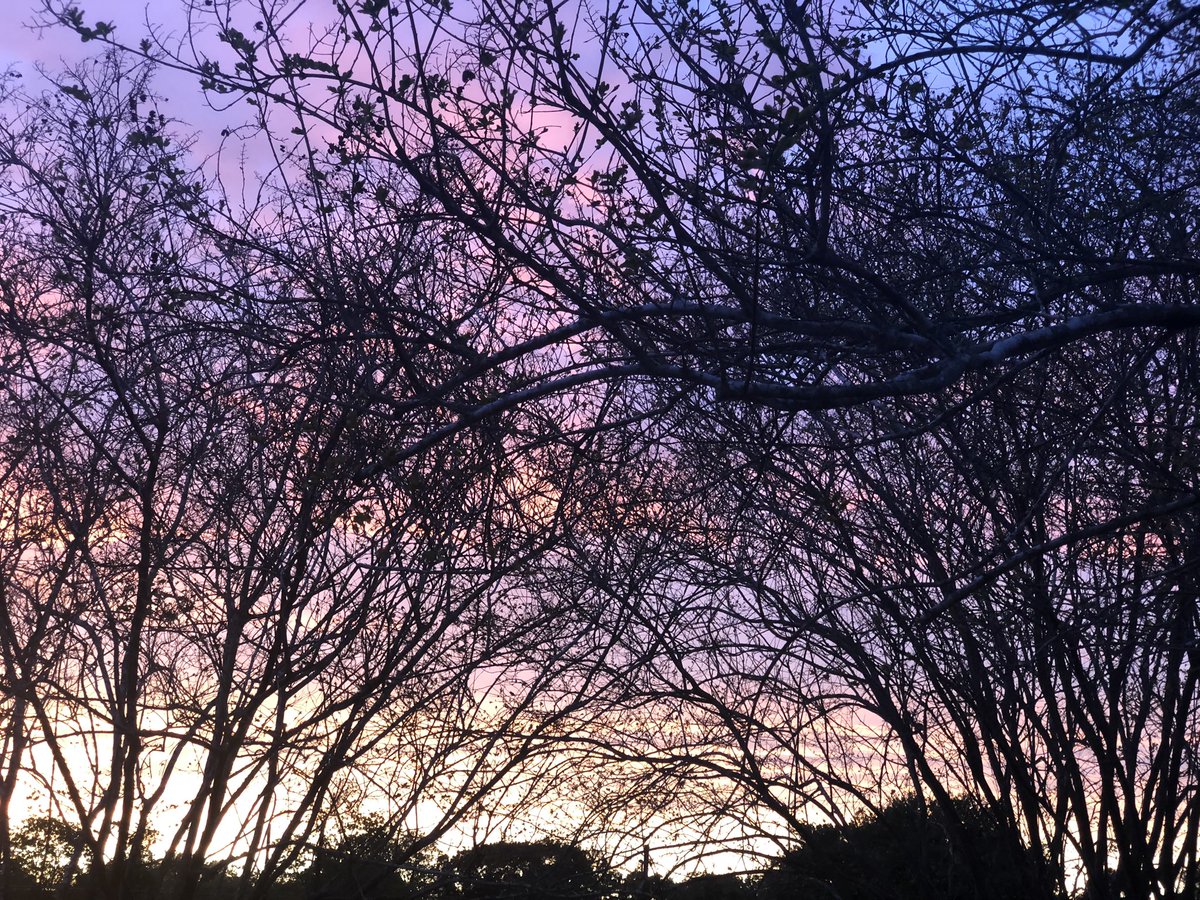 Skyvibes4's tweet image. #COVID19 #StayHome #sunsetphotography #NewAccount 🔮🌅