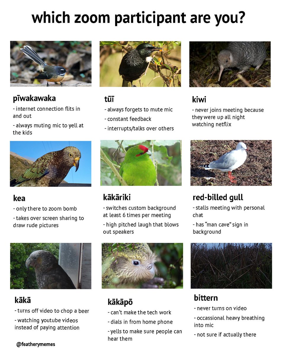 ok but which zoom participant r u?