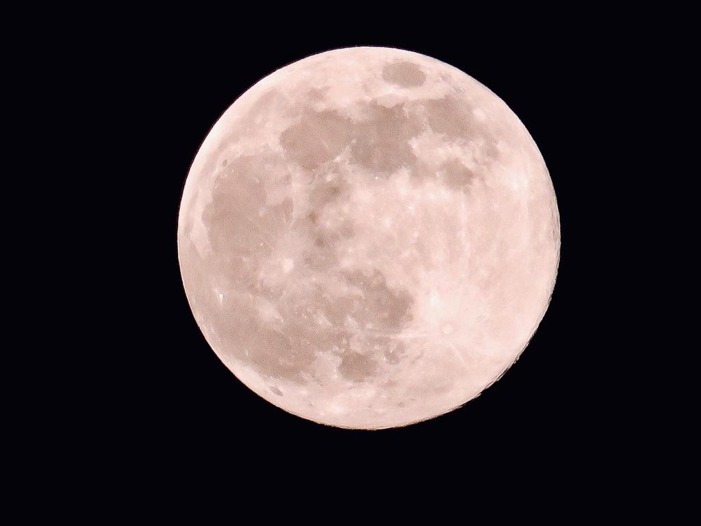 AndrCano2's tweet photo. En esta crisis la naturaleza muestra su belleza🌎🌎🍀🍀🌹 #SuperlunaRosa #SuperLuna https://t.co/CLGT8VZOnf