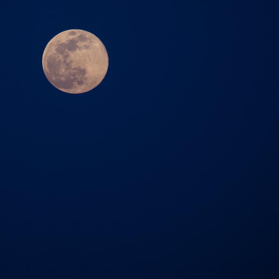 PerfectParker4's tweet photo. In case you missed the pink moon tonight, mom dusted off her camera so she wouldn’t forget what all the buttons do. https://t.co/zFc5Fk0ZEu