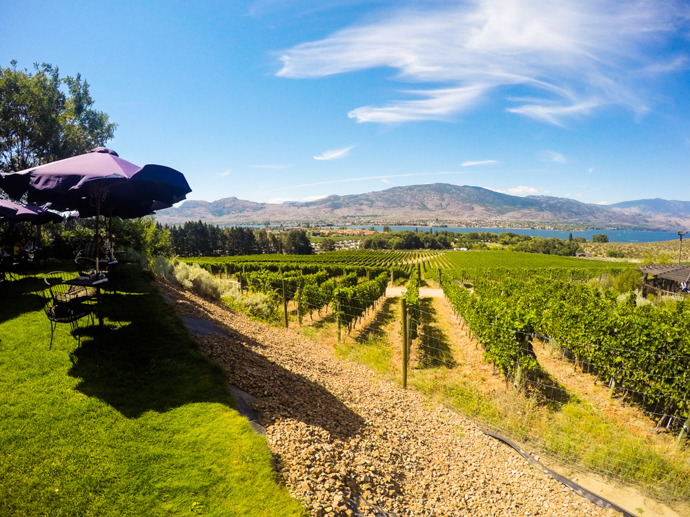 Wine Tasting in the Okanagan Valley discoverthepnw.com/wine-tasting-i…