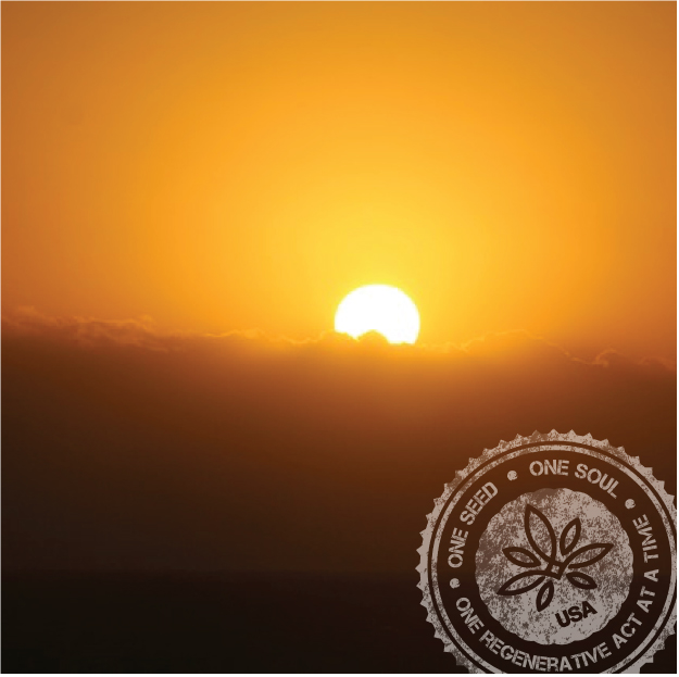 First Crop tweet media