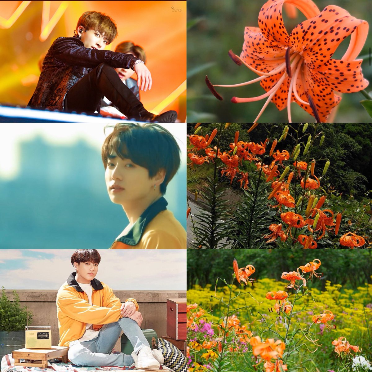 自己満Part2
マンネライン

#パクジミン
#キムテヒョン
#チョンジョングク