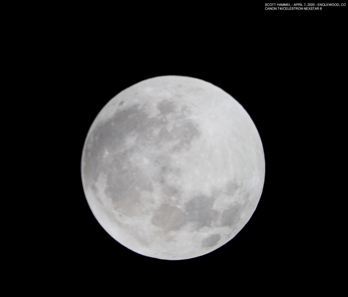 ChaseCaseCO's tweet photo. 4/7/2020 - Full moon shot from my front yard using a Canon T4i (lul) adapted to a Celestron Nexstar6. Forgot how hard it is! #fullmoon #quarantineastronomy #comoon https://t.co/iVd0tkVXLJ