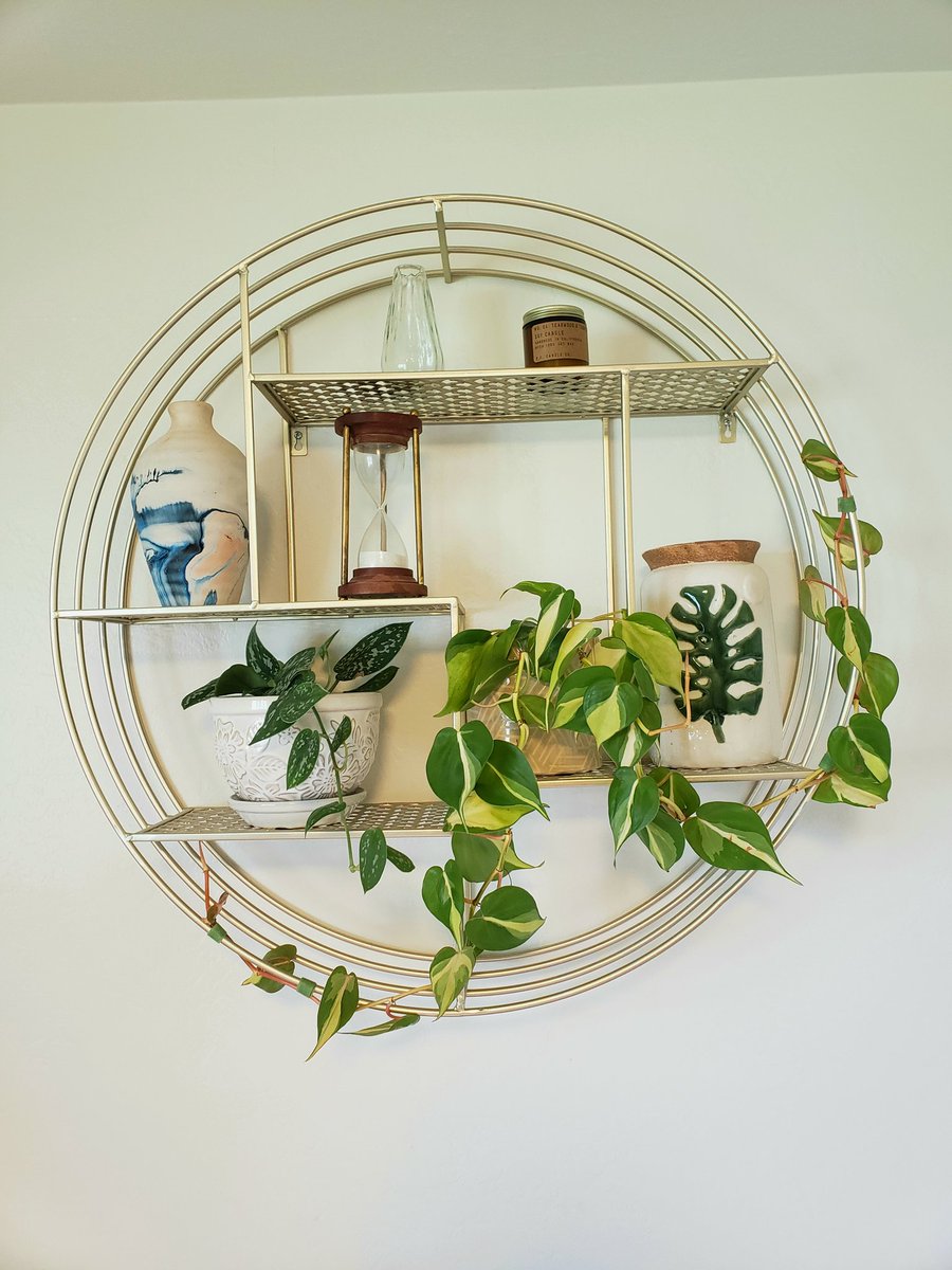 elliewyscaver's tweet photo. I just love this shelf https://t.co/Qfhq8ZTDoJ