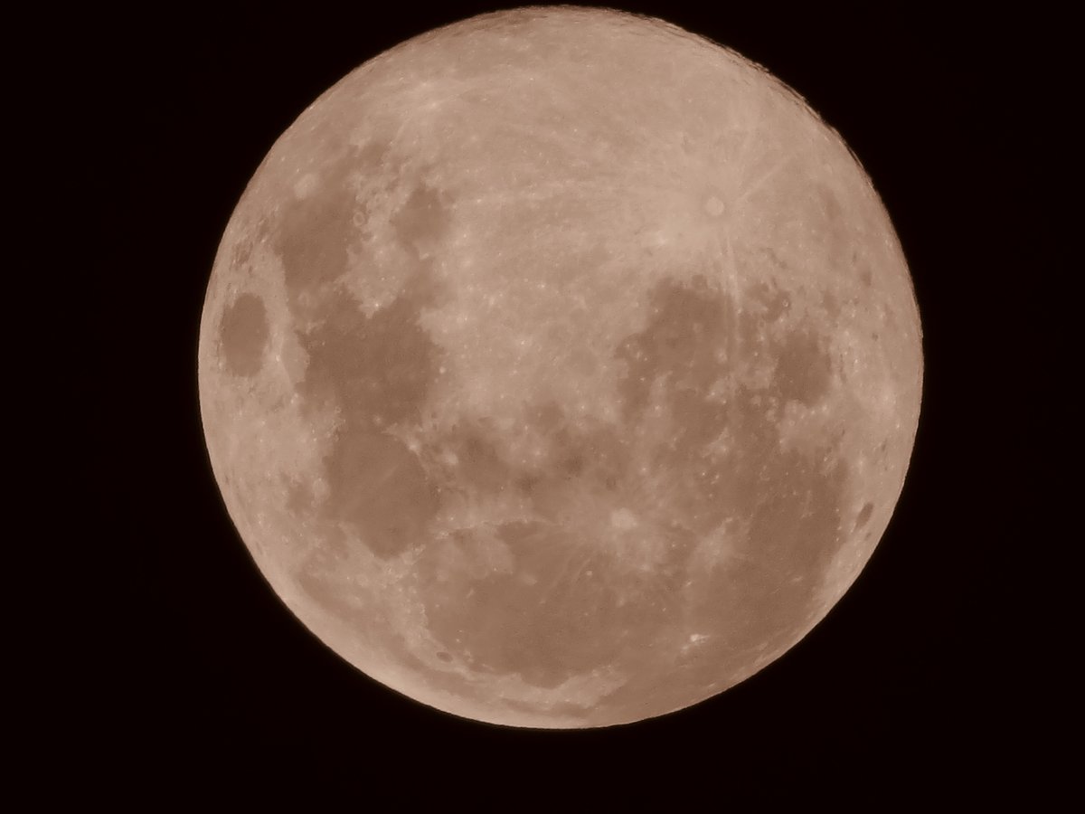 Quenoreyes's tweet photo. @chematierra https://t.co/C838rCaJdS