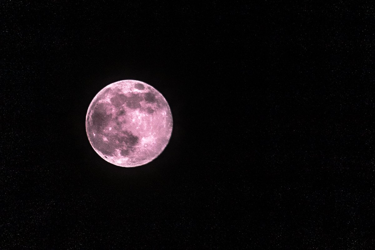 rudym_7's tweet photo. I went outside and actually managed to get some images of the rare “Pink Supermoon”-enjoy📸
-IG: @ rawfocvs https://t.co/goFsqv8RJJ