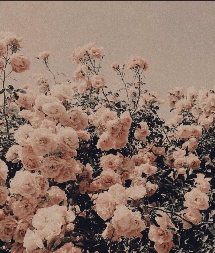 asoftdaniel's tweet image. • Larry smau •

A los 18, un numero aparece en tu muñeca indicando cuántos días restan para conocer a tu alma gemela.

Dónde H y L son mejores amigos d la infancia- Louis secretamente enamorado-. Sin embargo, cuándo Louis despierta ya con 18 cumplidos, no hay contador.